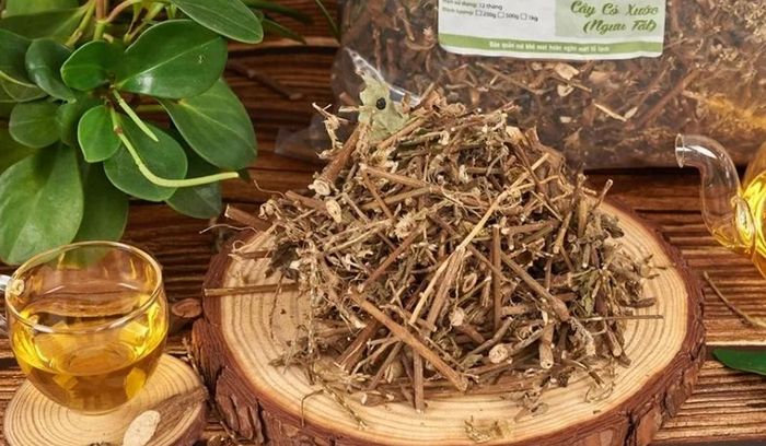 Cỏ xước sau khi thu hái được rửa sạch, phơi hoặc sấy khô rồi sắc với nước uống hằng ngày (Ảnh minh họa)