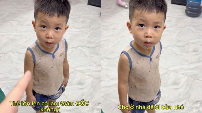 Dân mạng bảo sau chắc làm giám đốc công ty chuyên cày ruộng là vừa hợp lòng mẹ, vừa thỏa ý mình. (Ảnh chụp màn hình)