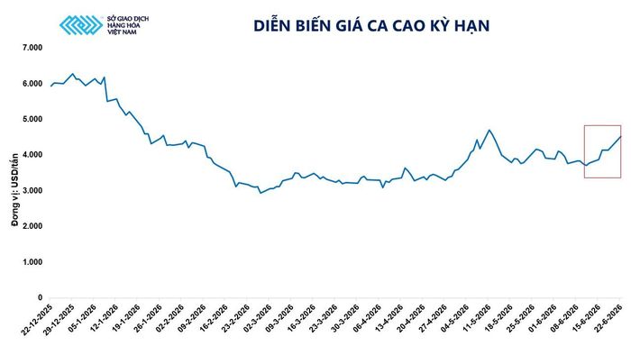 Diễn biến giá ca cao kỳ hạn. Nguồn: MXV