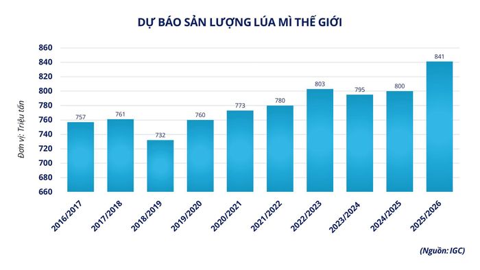 Dự báo sản lượng lúa mì thế giới. Nguồn: MXV