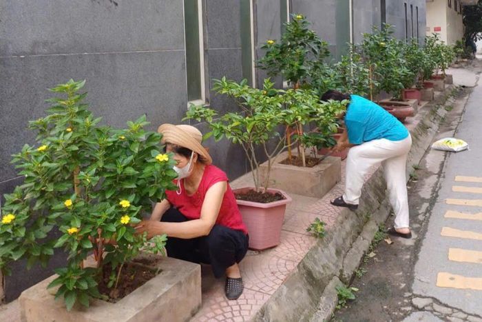 Người dân chủ động chăm sóc cây tại các vỉa hè, tạo không gian xanh, sạch, đẹp. Ảnh: PV