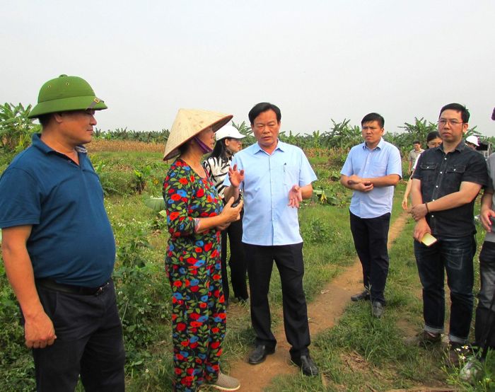 Bí thư Đảng ủy, Chủ tịch HĐND phường Hồng Hà Bùi Tuấn Anh trao đổi với người dân về dự án cầu Tứ Liên. Ảnh: PV