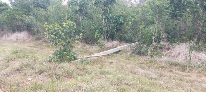  Cái chết của con voi rừng tại Salak Phra vì thế không chỉ là một vụ tai nạn đơn lẻ. (Ảnh: Khaosod) 