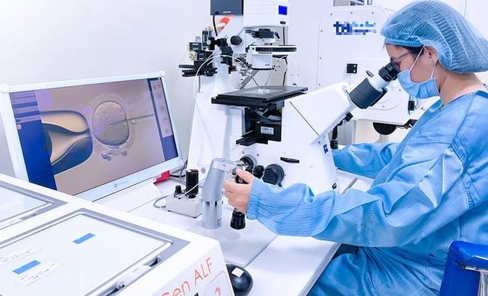 Chuyên viên phôi học tiêm tinh trùng vào bào tương noãn (ICSI), tạo phôi cho vợ chồng chị Phương. Ảnh: BVCC