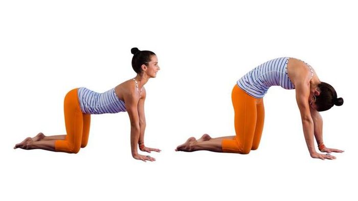Tư thế con bò- con mèo giúp giảm căng thẳng ở cổ, mang lại nguồn năng lượng dồi dào vào buổi sáng.