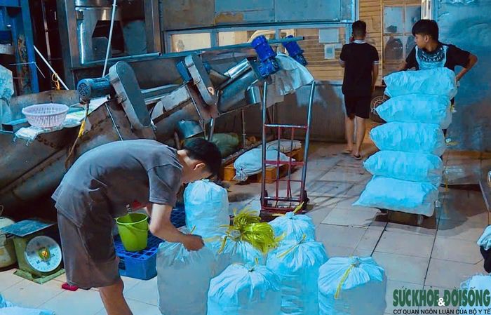 Nước đá dùng liền là mặt hàng tiềm ẩn nguy cơ mất ATTP nếu nguồn nước và quy trình sản xuất không được kiểm soát chặt chẽ.