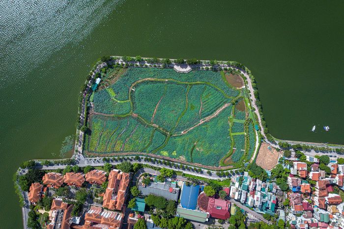  Bên cạnh việc cải thiện hạ tầng ven hồ, dự án đầu tư xây dựng hệ thống vườn hoa. Các khu vực này được kỳ vọng góp phần tăng diện tích cây xanh, tạo điểm dừng chân, vui chơi và ngắm cảnh cho người dân, đồng thời nâng cao chất lượng không gian cảnh quan quanh Hồ Tây. 