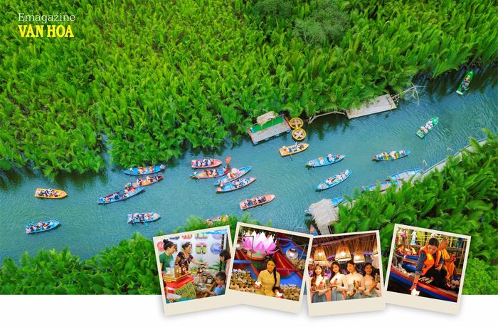 Rừng dừa nước Tịnh Khê đang từng bước khẳng định vị thế là một “mỏ vàng xanh” của du lịch Quảng Ngãi. Ảnh: Đoàn Vương Quốc