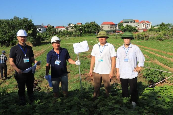 Đơn vị chức năng tiến hành cưỡng chế kiểm đếm