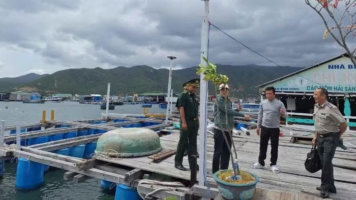 Các chấp hành viên làm việc tại nhà bè Chí Kiên.