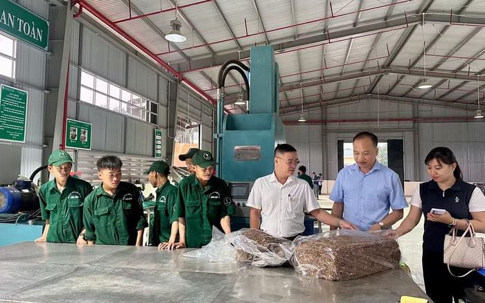 Đồng chí Nguyễn Công Tám (thứ 3 từ phải sang), Bí thư Đảng bộ, Chủ tịch Hội đồng quản trị Công ty cổ phần cao-su Điện Biên kiểm tra chất lượng sản phẩm cao-su được sản xuất tại Nhà máy chế biến mủ cao-su tại Hua Thanh.