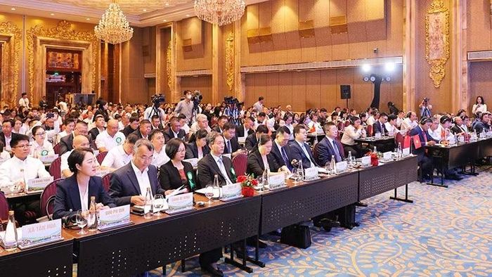 Một góc quang cảnh Diễn đàn.