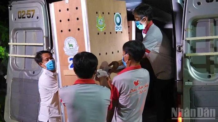 Đoàn công tác tiếp nhận sếu (Ảnh: Ban tổ chức cung cấp)