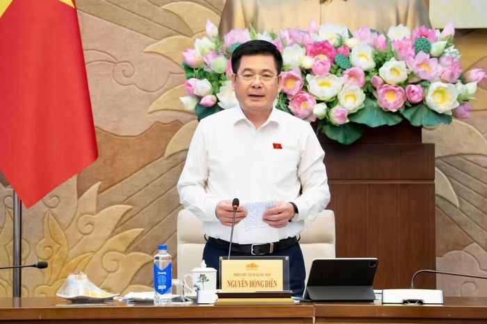 Phó Chủ tịch Quốc hội Nguyễn Hồng Diên phát biểu chỉ đạo.