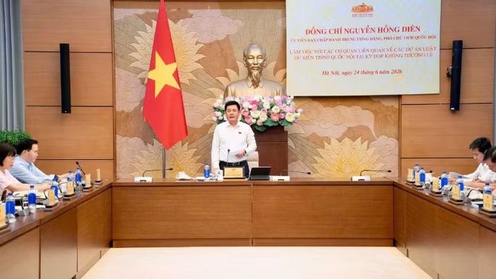 Phó Chủ tịch Quốc hội Nguyễn Hồng Diên chủ trì buổi làm việc.