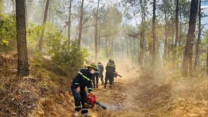 Lực lượng chuyên nghiệp sử dụng máy thổi gió thổi bay vật liệu dễ cháy, tạo khoảng cách chống cháy lan và dập tắt than, tàn lửa.