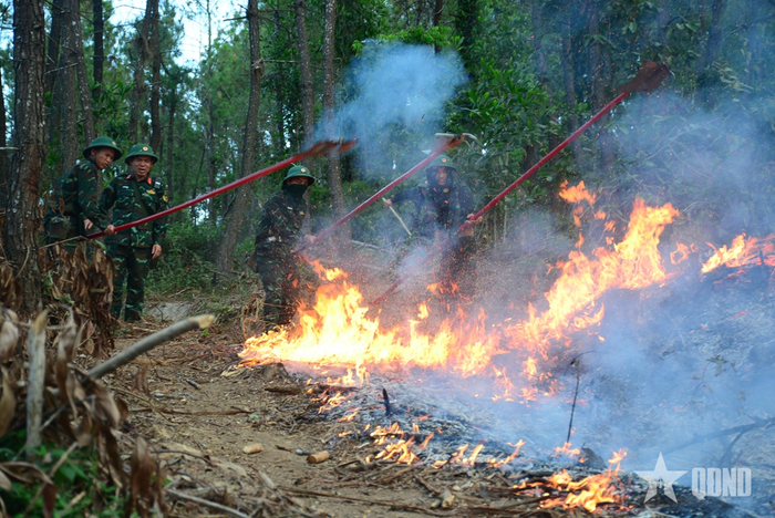 Hơn 100 cán bộ, chiến sĩ Trung đoàn 762, Bộ CHQS tỉnh Thanh Hóa tham gia chữa cháy.