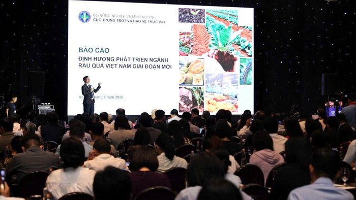 Đại diện Bộ NN-MT chia sẻ về định hướng phát triển ngành rau quả Việt Nam giai đoạn mới. Ảnh: NGUYỄN THỦY