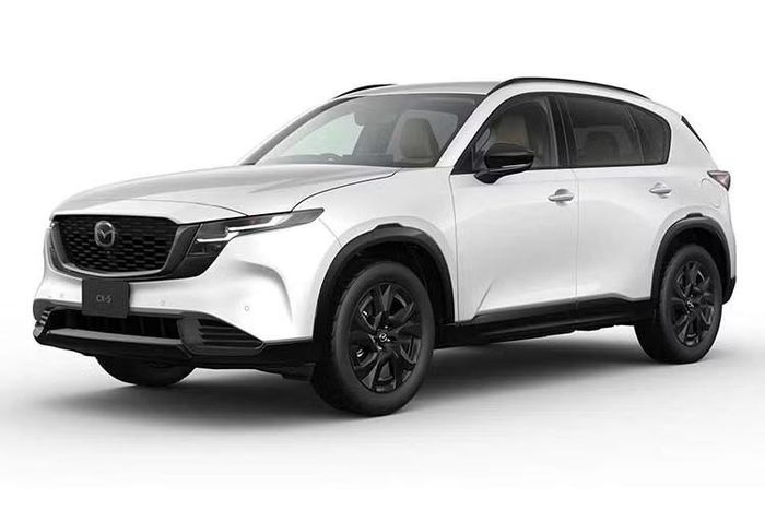 Với khởi đầu đầy ấn tượng, Mazda CX-5 thế hệ mới đang cho thấy tiềm năng tiếp tục là “gà đẻ trứng vàng” của Mazda, đồng thời gia tăng sức ép lên các đối thủ trong phân khúc như Toyota RAV4, Honda CR-V và Subaru Forester. Tại Việt Nam, CX-5 thế hệ mới đang trưng bày tại đại lý Mazda Flagship đầu tiên ở Tp.HCM. Theo một số nguồn tin, xe sẽ chính thức ra mắt cuối năm nay.