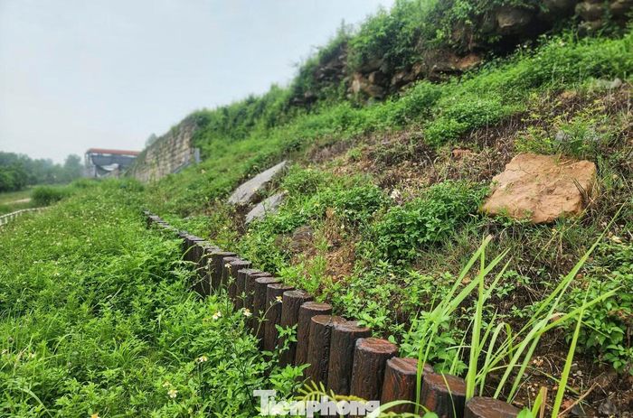 Đơn vị thi công cũng đóng cọc bê tông cốt thép, sơn giả gỗ nhằm gia cố một số đoạn chân thành yếu, phủ lớp chống thấm và tạo rãnh gom nước thoát.