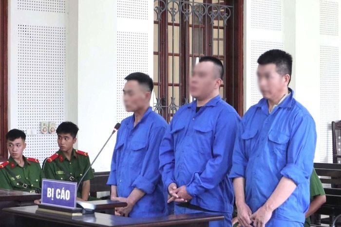 Ba bị cáo tại tòa.