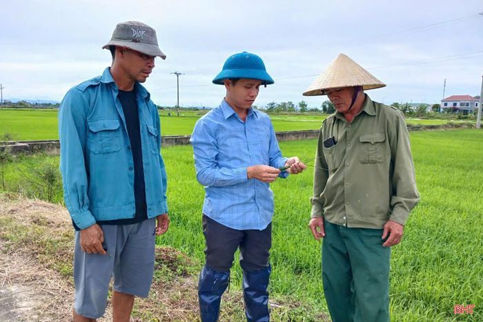 Bà con nông dân chủ động phòng trừ sâu cuốn lá đúng thời điểm, theo hướng dẫn của cơ quan chuyên môn. Ảnh Fanpage Thông tin phường Nam Hồng Lĩnh.