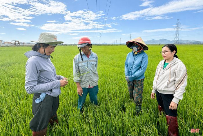 Các cán bộ kỹ thuật Trạm Bảo vệ thực vật và Thú y khu vực VIII hướng dẫn người dân thời điểm phun phòng trừ sâu cuốn lá.