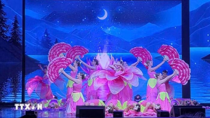Tiết mục của Việt Nam tại Ngày hội. (Ảnh: TTXVN phát)