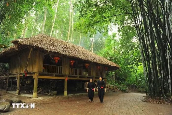 Tại làng Thái Hải, các ngôi nhà sàn dân tộc Tày, Nùng được dựng giữa không gian xanh mướt núi rừng thu hút những du khách thích cuộc sống yên bình. (Ảnh: Minh Đức/TTXVN)