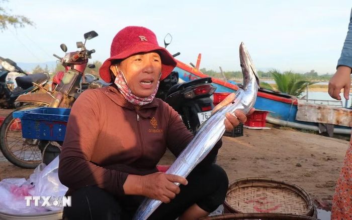 Những con cá hố tươi được những người phụ nữ địa phương giới thiệu đến người mua và khách du lịch. (Ảnh: Phạm Cường/TTXVN)