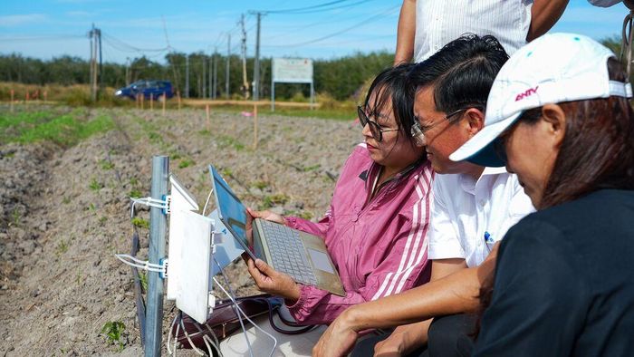 Ngành nông nghiệp tỉnh Tây Ninh đẩy mạnh ứng dụng khoa học - kỹ thuật tiên tiến vào sản xuất, góp phần nâng cao năng suất, chất lượng nông sản và phát triển nông nghiệp bền vững. Ảnh: Minh Phú/TTXVN