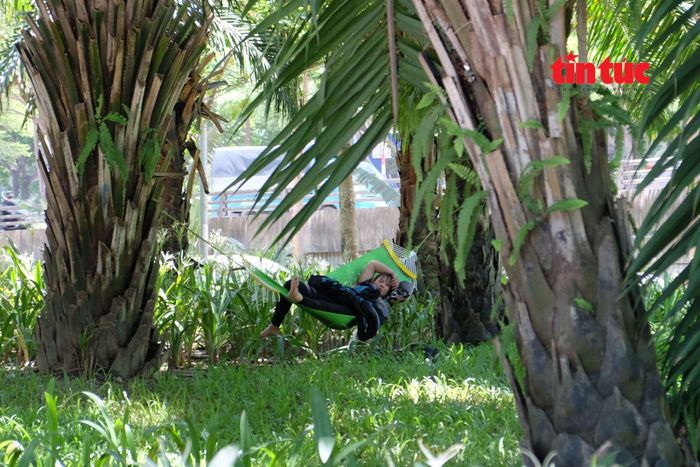 Phút nghỉ trưa của một người lao động dưới tán cây ven đường.