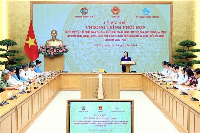 Phó Thủ tướng Phạm Thị Thanh Trà phát biểu chỉ đạo. Ảnh: An Đăng/TTXVN