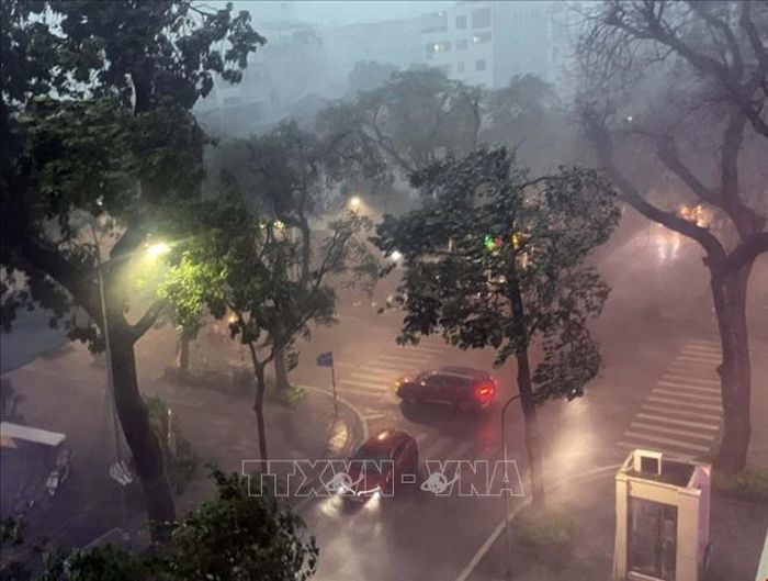 Từ tối 24/6 đến ngày 25/6, khu vực vùng núi Bắc Bộ có mưa rào và dông rải rác với lượng mưa 15-30mm, cục bộ có nơi mưa to trên 70mm (mưa tập trung vào chiều tối và đêm). Ảnh minh họa: An Đăng/TTXVN