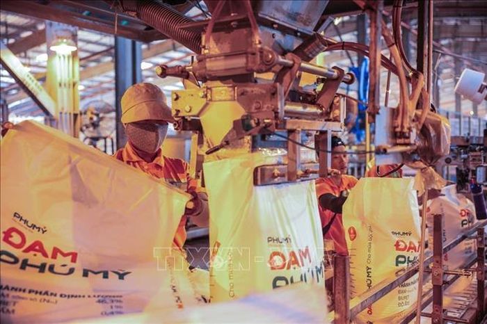 Dây chuyền đóng gói sản phẩm tại Nhà máy Đạm Phú Mỹ. Ảnh minh họa: Hoàng Hiếu/TTXVN