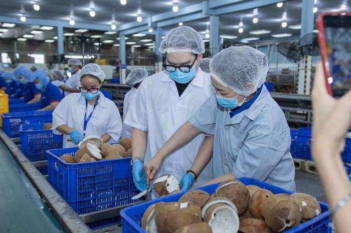 Dây chuyền sản xuất dừa tại nhà máy Vietcoco ở Vĩnh Long. Ảnh: D.N