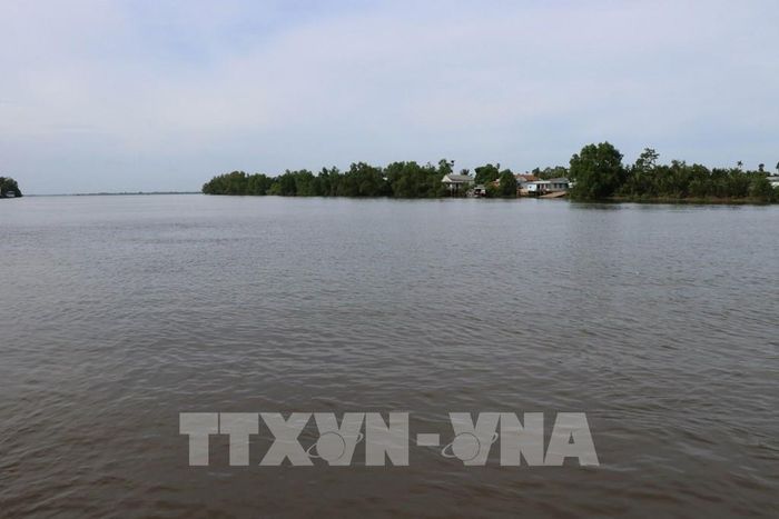 Một góc cồn Tân Quy nhìn từ phía đất liền xã An Phú Tân. Ảnh: Thanh Hòa - TTXVN
