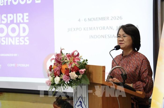 Đại diện doanh nghiệp chia sẻ kinh nghiệm xuất khẩu vào Indonesia. Ảnh: Xuân Anh - TTXVN