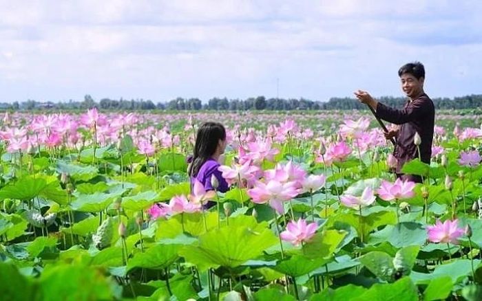 Du khách thưởng thức hương sen ngào ngạt.