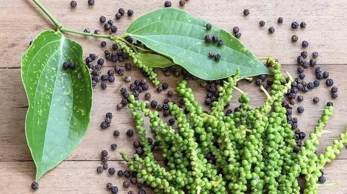 Thị trường hồ tiêu trong nước tiếp tục ghi nhận xu hướng tăng
