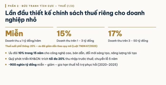 Đáng chú ý, lần đầu tiên chính sách thuế thu nhập doanh nghiệp được thiết kế theo hướng phân tầng dựa trên quy mô doanh nghiệp