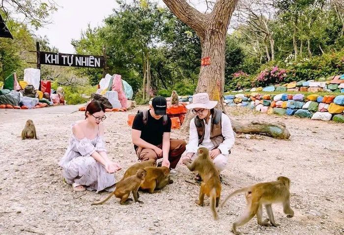 Nha Trang - Khánh Hòa trở thành điểm đến hấp dẫn đối với du khách trong khu vực.