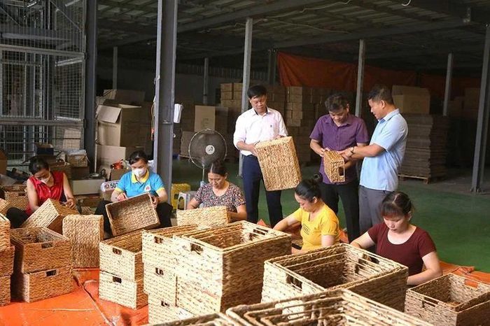 Sản xuất sản phẩm OCOP giỏ xách Việt Anh tại Công ty CP Sản xuất, chế biến cói xuất khẩu Việt Anh, xã Nga An.