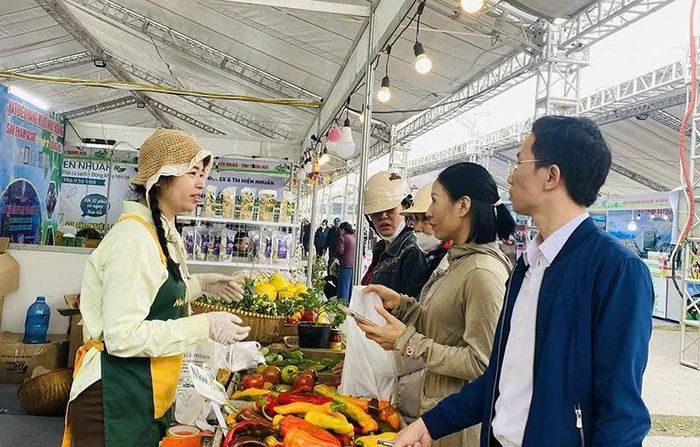 HTX nông nghiệp xanh, công nghệ cao Hồng Nhuệ, xã Hoằng Hóa giới thiệu, quảng bá sản phẩm OCOP và các sản phẩm nông sản tại Phiên chợ giới thiệu nông sản, thực phẩm an toàn tỉnh Thanh Hóa năm 2026.