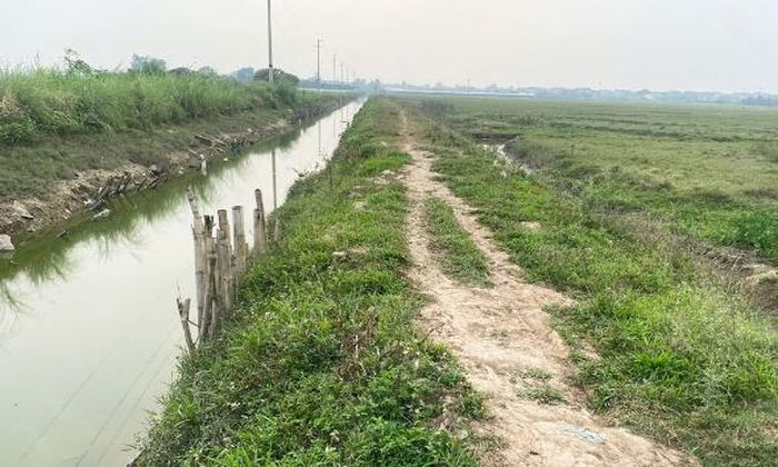 Tuyến kênh Bắc Trịnh Xá đoạn qua địa bàn xã Văn Môn - Tam Giang.
