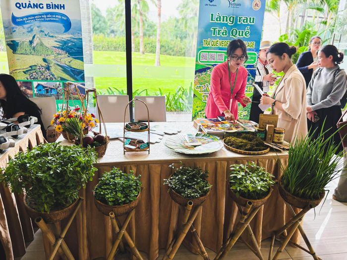 Nông nghiệp xanh được xác định là mũi nhọn đầu tư sản xuất của Đà Nẵng. Ảnh: T.B.N