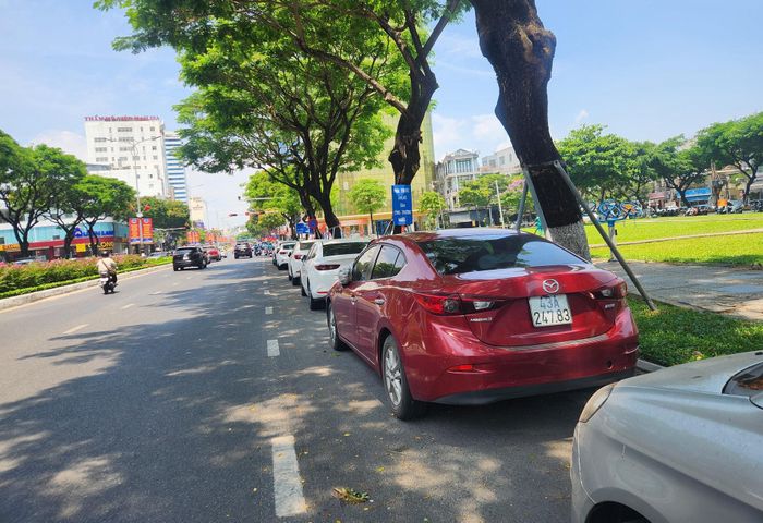 Nỗ lực giảm phát thải khí nhà kính là định hướng quan trọng của thành phố Đà Nẵng. Ảnh: T.B.N