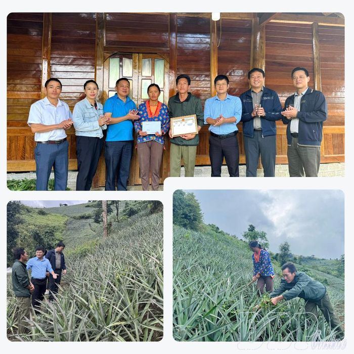 Nhờ chịu khó làm ăn, cuộc sống của gia đình anh Chớ A Sình, bản Sa Lông, xã Na Sang đã khá hơn nhiều. Năm 2025, anh Sình đã tự nguyện viết đơn xin thoát nghèo.