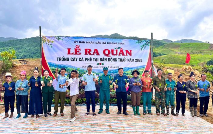 Xã Chiềng Sinh tổ chức ra quân trồng cây cà phê, mắc ca tại bản Đông Thấp.