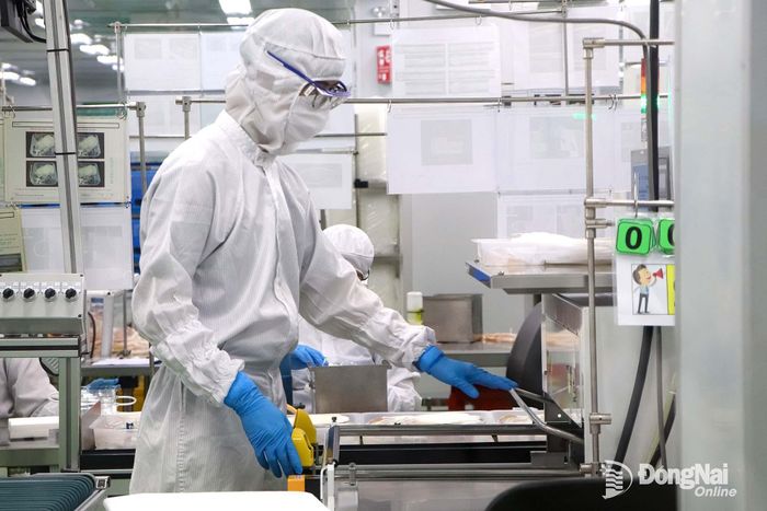Hoạt động sản xuất thiết bị y tế công nghệ cao tại Công ty TNHH Terumo Việt Nam, một doanh nghiệp Nhật Bản tại Khu công nghiệp Long Đức.